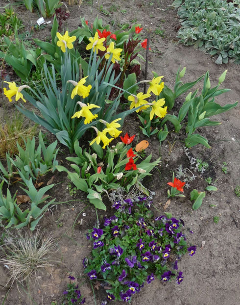  - 2021 - 01 - Primavara