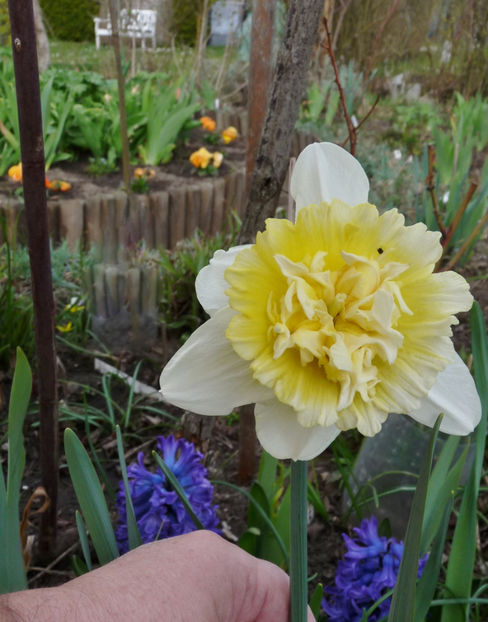  - 2021 - 01 - Primavara