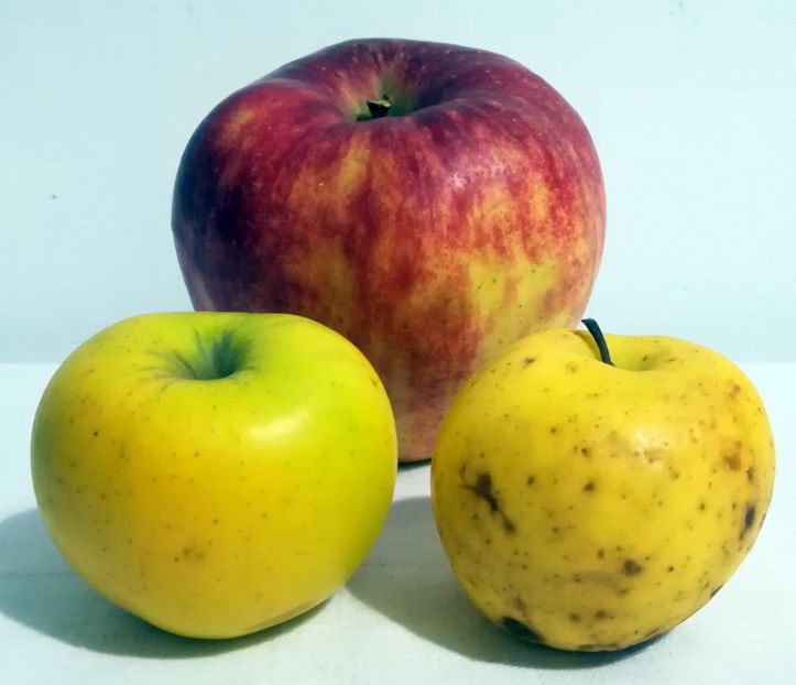  - Măr Domnesc 620 grame