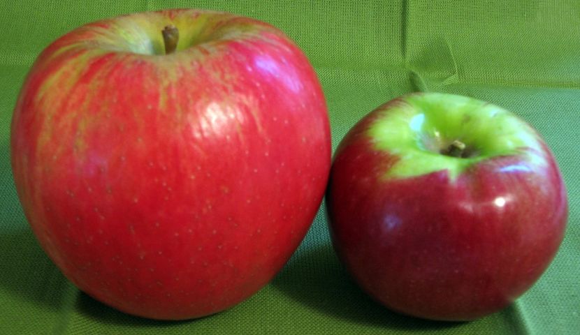 apple - Măr Domnesc 620 grame