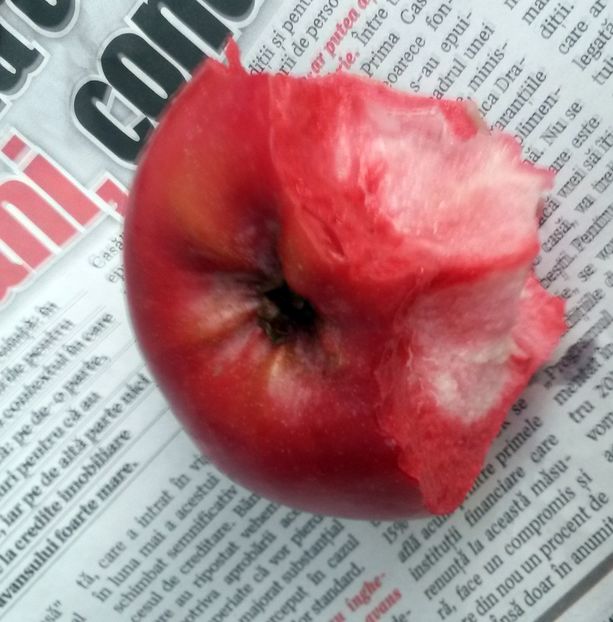  - Măr Red Love Circe