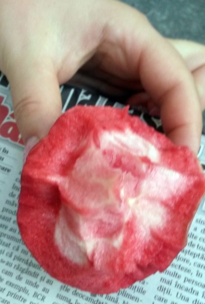  - Măr Red Love Circe