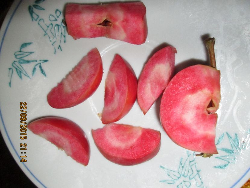  - Măr Red Love Circe