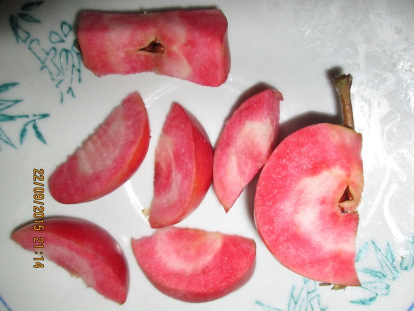  - Măr Red Love Circe