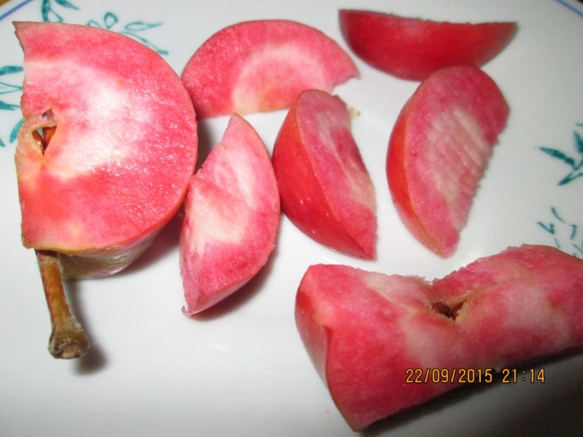  - Măr Red Love Circe