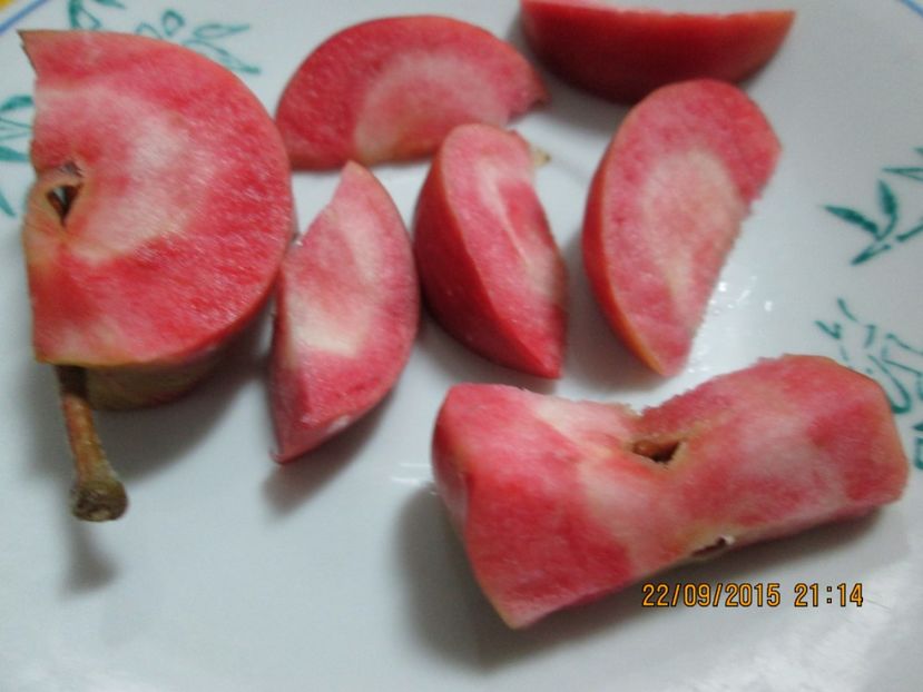  - Măr Red Love Circe