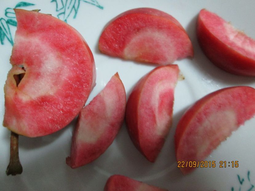  - Măr Red Love Circe