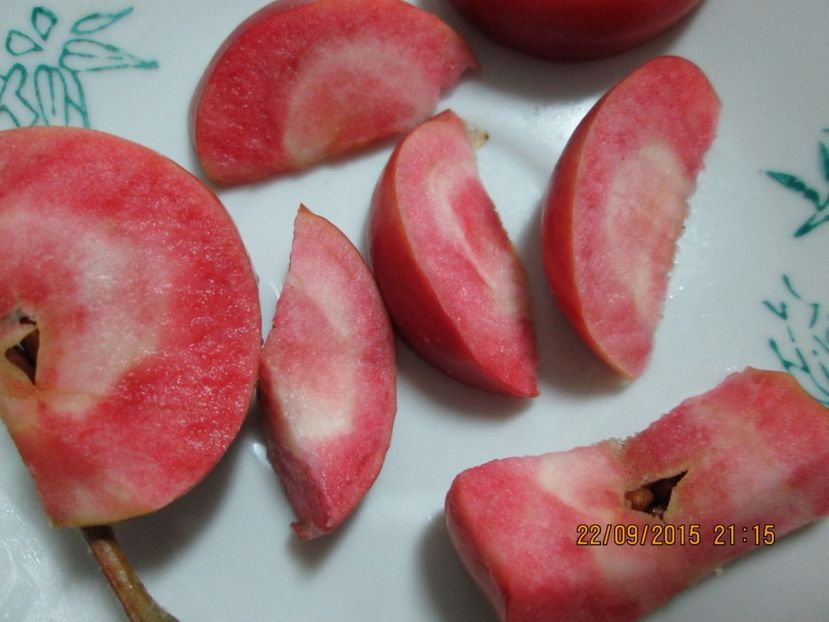  - Măr Red Love Circe