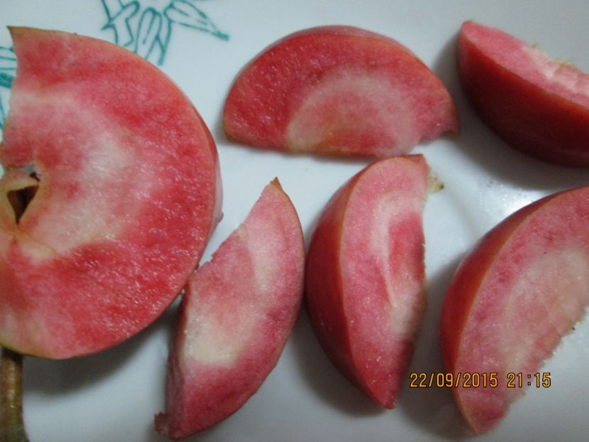  - Măr Red Love Circe