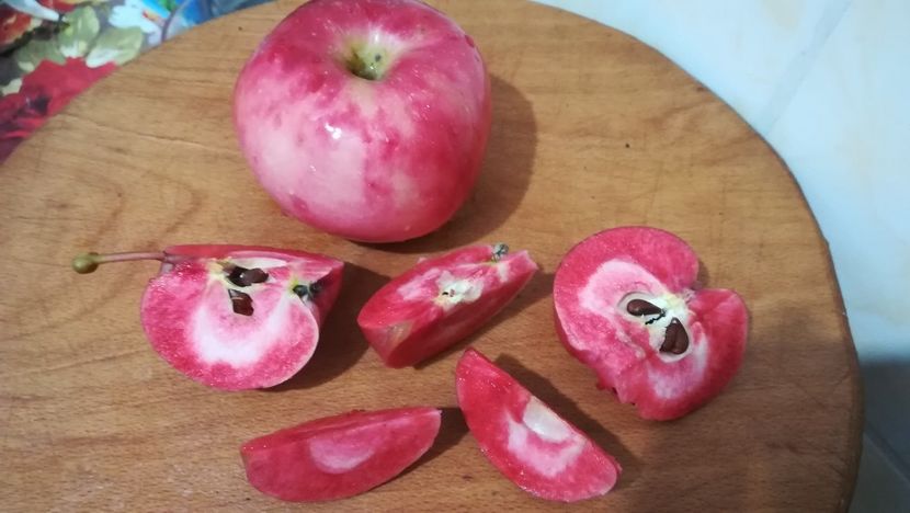  - Măr Red Love Circe