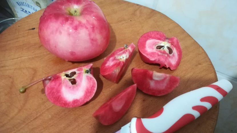  - Măr Red Love Circe