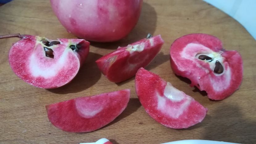  - Măr Red Love Circe