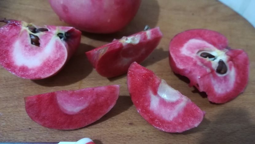  - Măr Red Love Circe