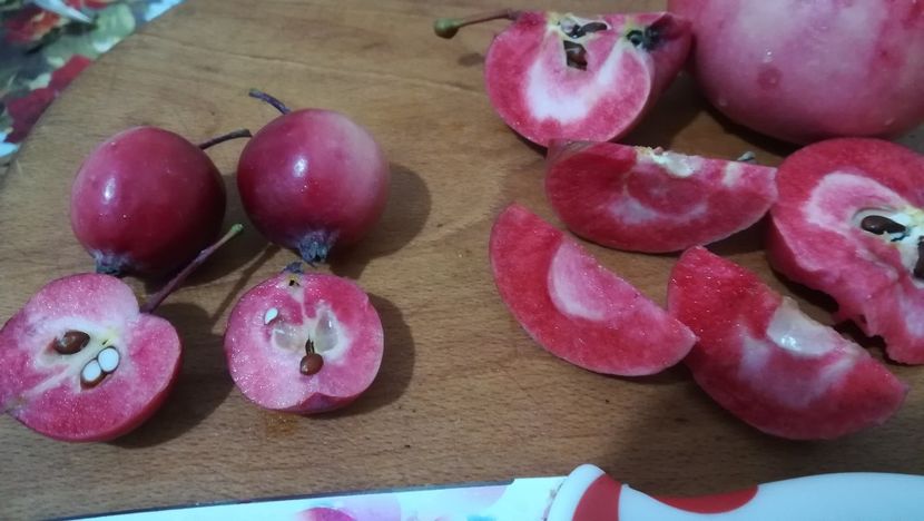  - Măr Red Love Circe