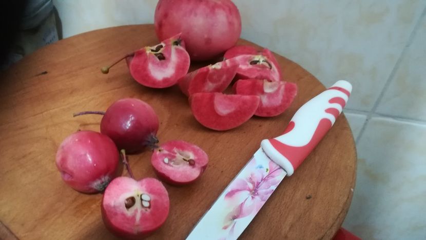  - Măr Red Love Circe