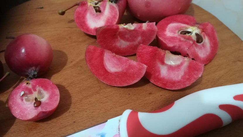  - Măr Red Love Circe