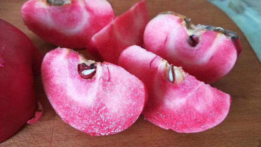  - Măr Red Love Circe