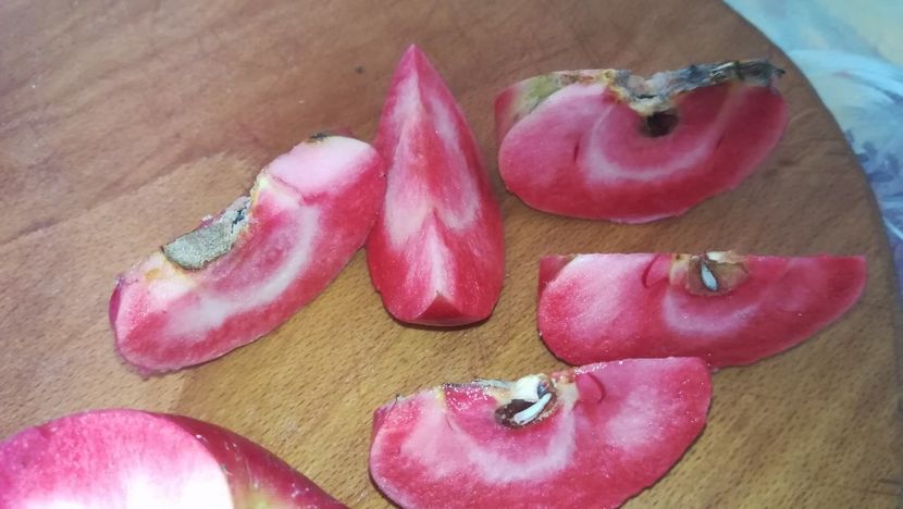  - Măr Red Love Circe