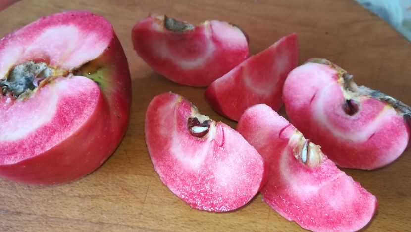  - Măr Red Love Circe