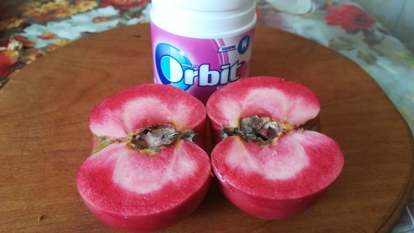  - Măr Red Love Circe