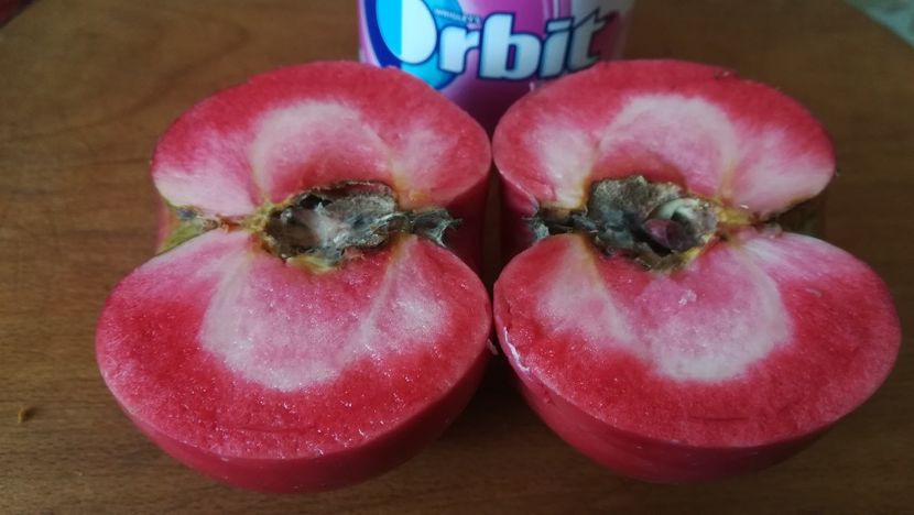  - Măr Red Love Circe