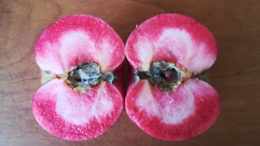  - Măr Red Love Circe