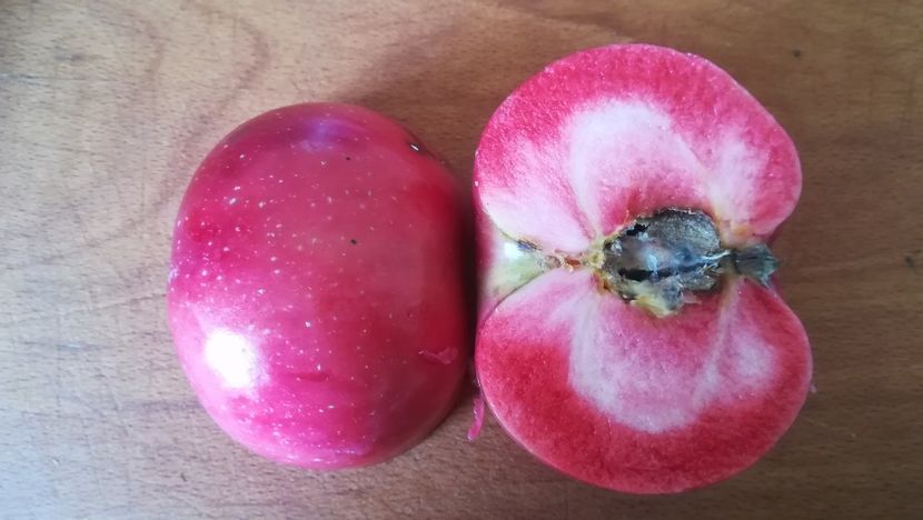  - Măr Red Love Circe