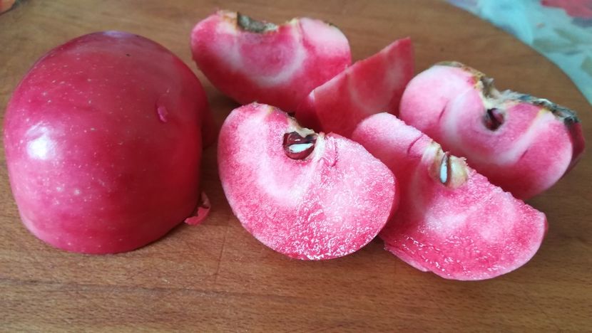  - Măr Red Love Circe