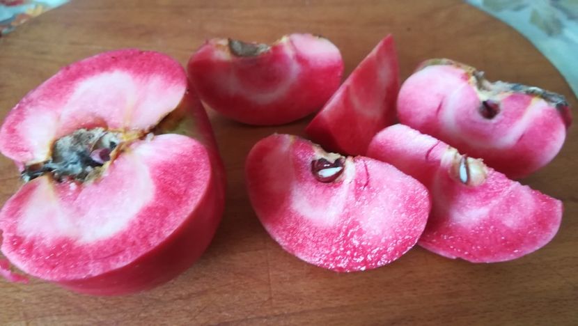  - Măr Red Love Circe