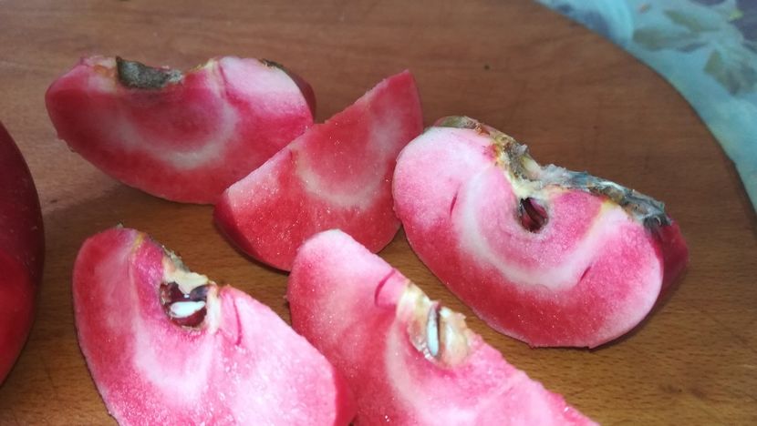  - Măr Red Love Circe