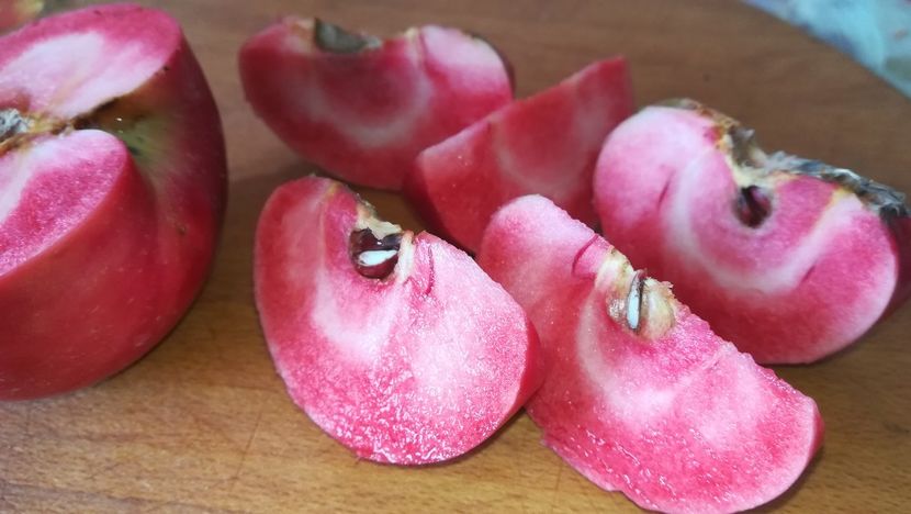  - Măr Red Love Circe