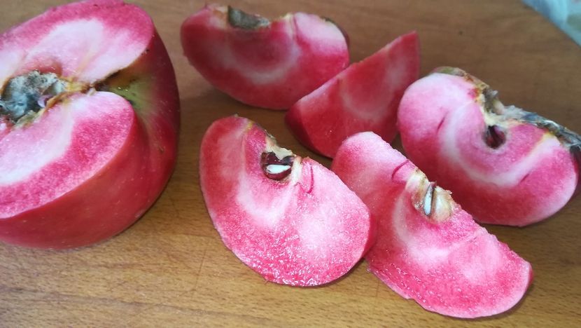  - Măr Red Love Circe