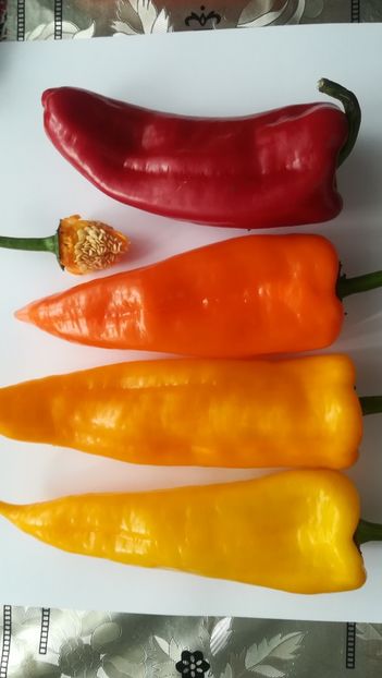  - Ardei dulci de ghiveci