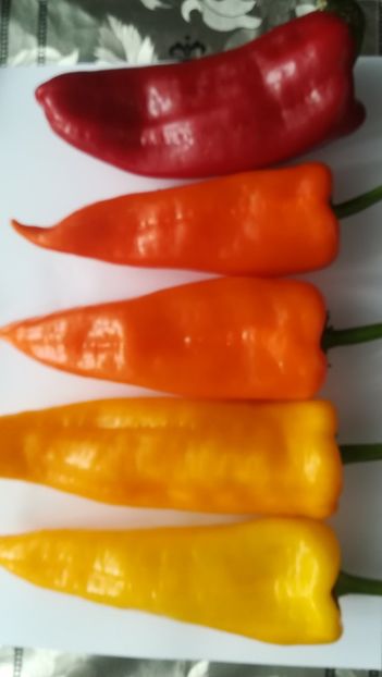  - Ardei dulci de ghiveci