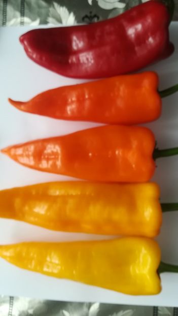  - Ardei dulci de ghiveci