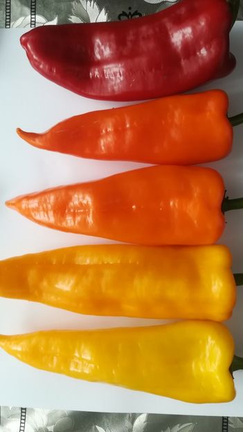  - Ardei dulci de ghiveci