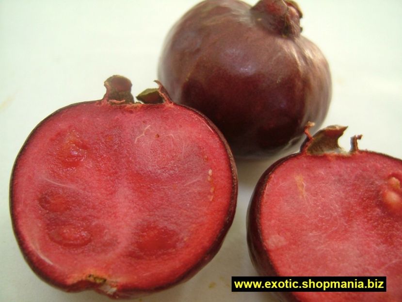 strawberry guava - Strawberry guava