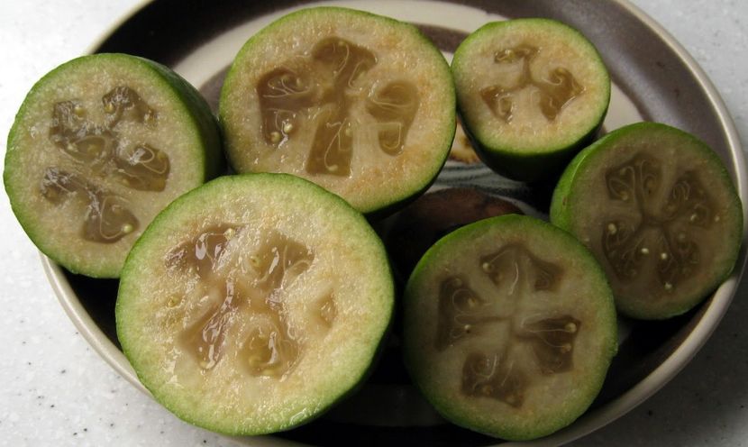 feijoa - Feijoa