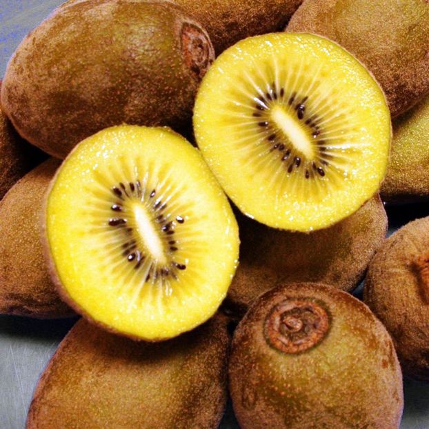 kiwi soreli - Kiwi galben