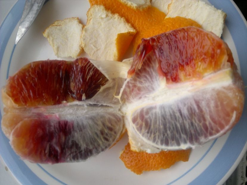 2015-01-25-144 - Portocale roșii