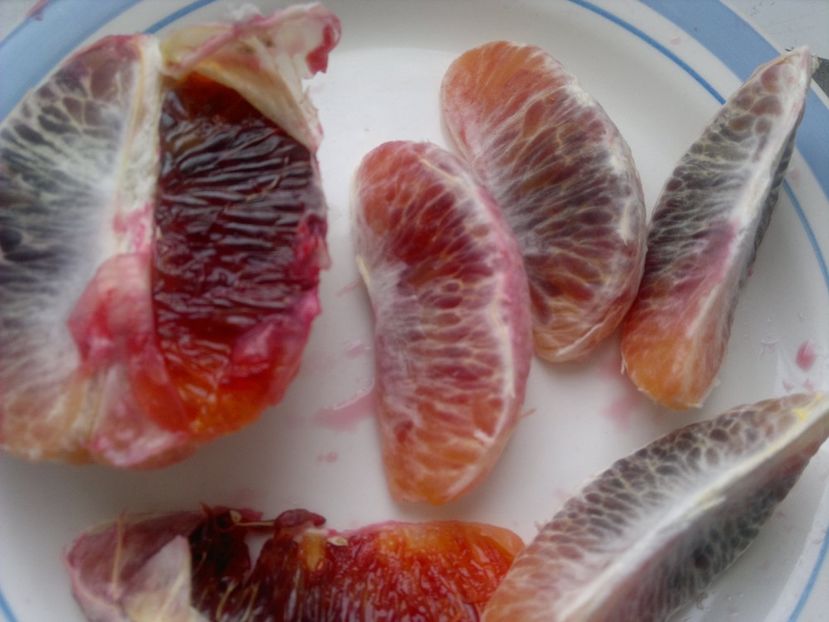 2015-01-25-153 - Portocale roșii