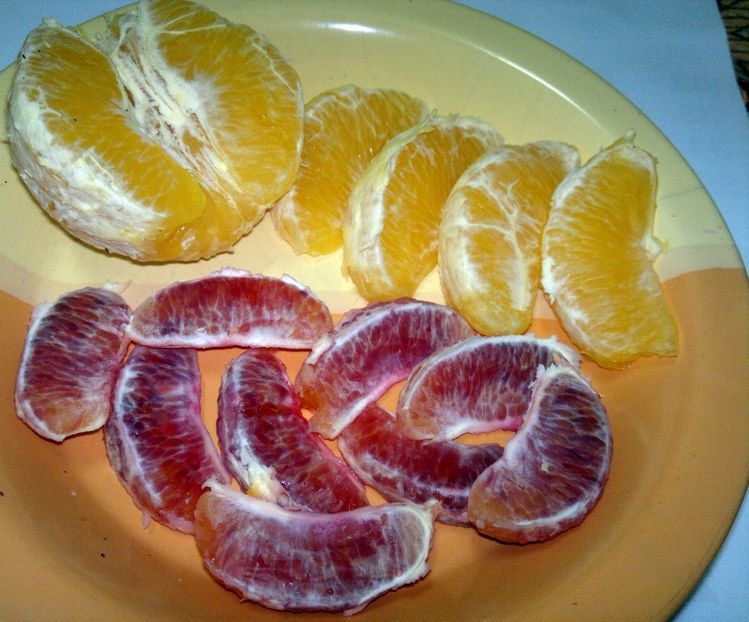  - Portocale roșii