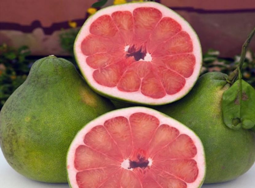pink pomelo - Pomelo cu miez roz