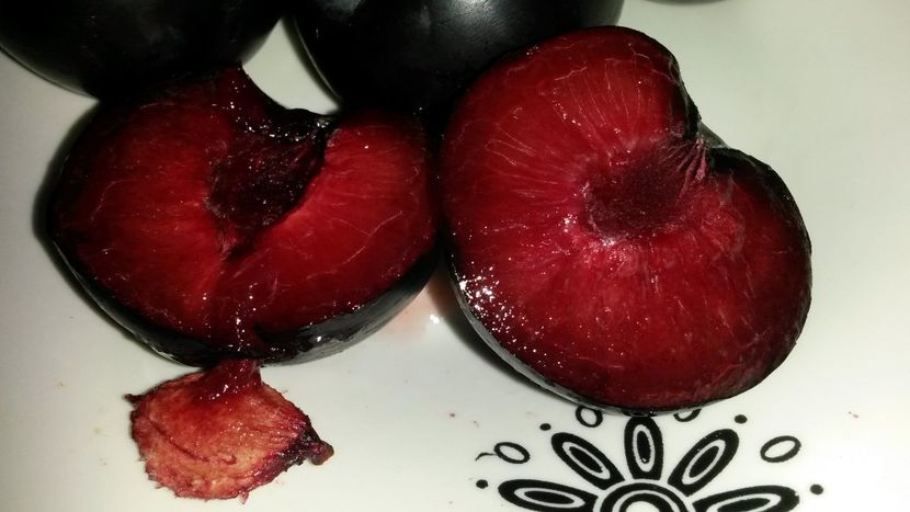  - Prune Black Diamond