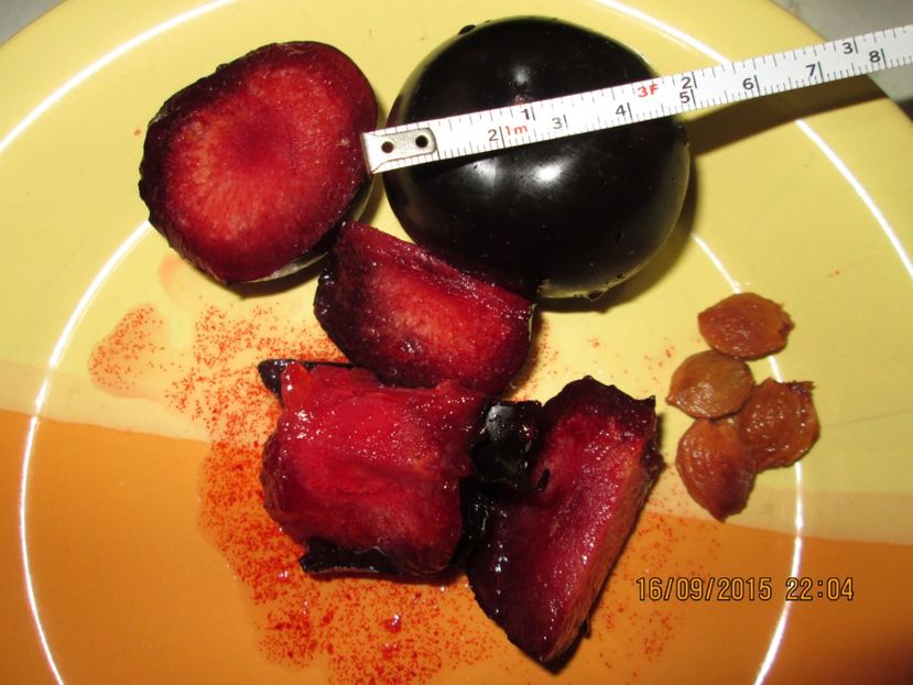  - Prune Black Diamond