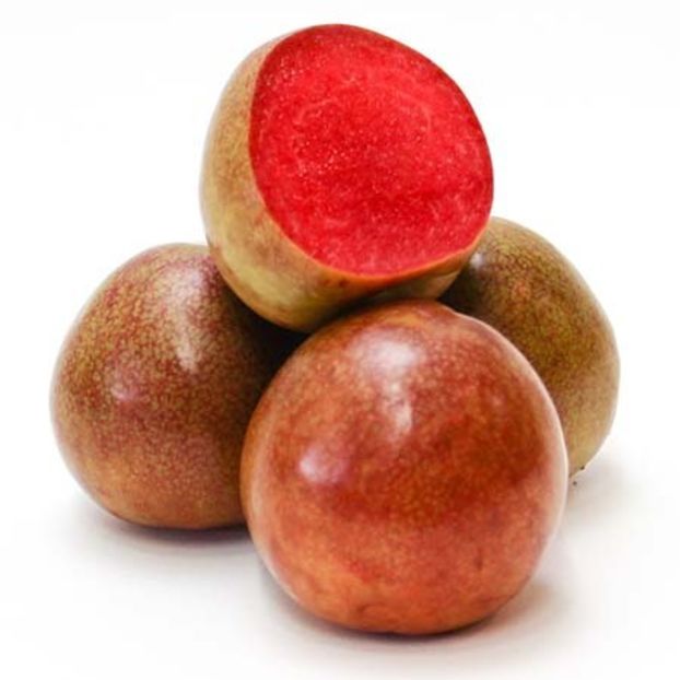 Plumcot - Prun Rusesc
