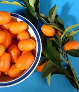 kumquat - Kumquat