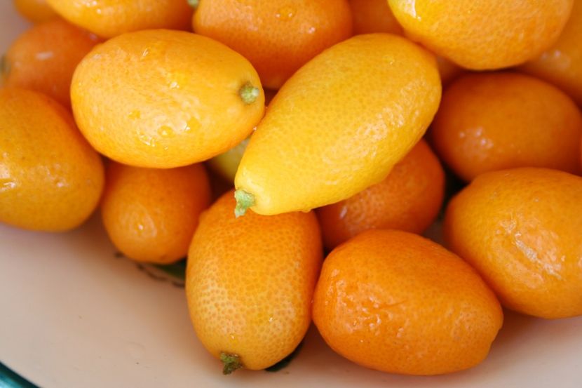 kumquat-cookies-blog-036A - Kumquat