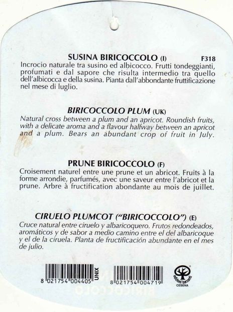 Susina Biricoccolo 2 - Plumcot