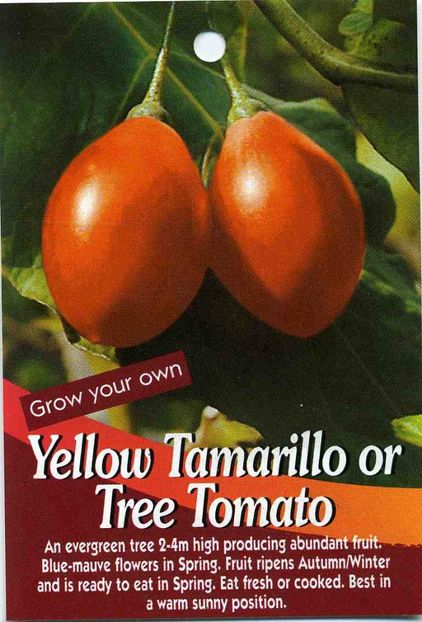 Yellow-Tamarillo-Tree-Tomato - Tamarillo galben
